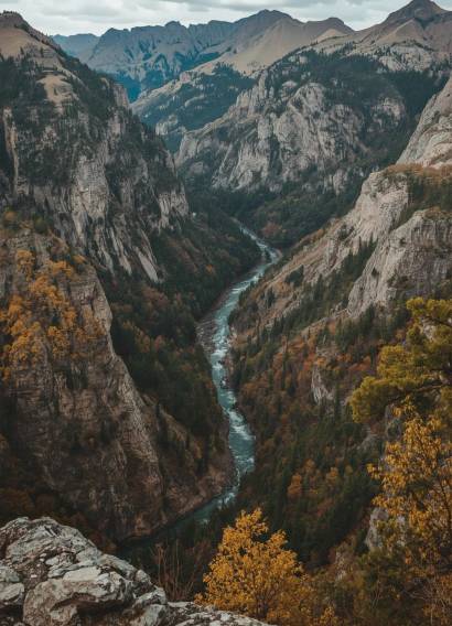 Lucid_Realism_etailed______________________________0